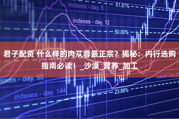 君子配资 什么样的肉苁蓉最正宗？揭秘：内行选购指南必读！_沙漠_营养_加工