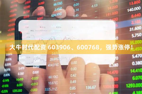 大牛时代配资 603906、600768，强势涨停！