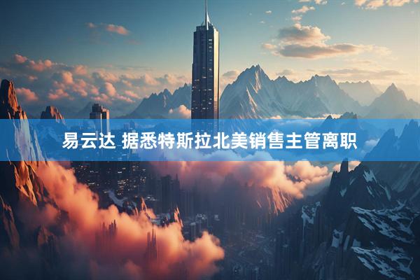 易云达 据悉特斯拉北美销售主管离职