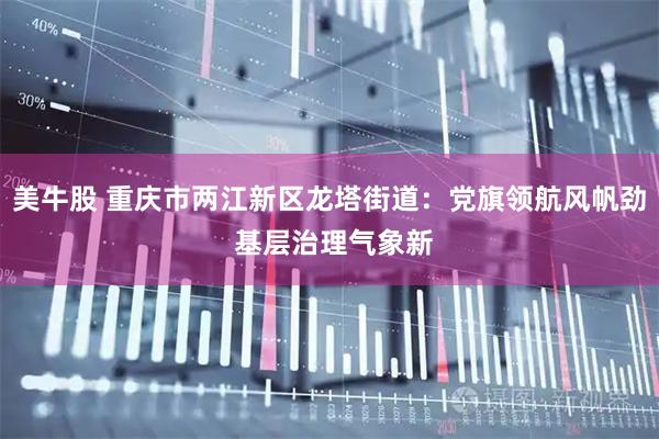 美牛股 重庆市两江新区龙塔街道：党旗领航风帆劲 基层治理气象新